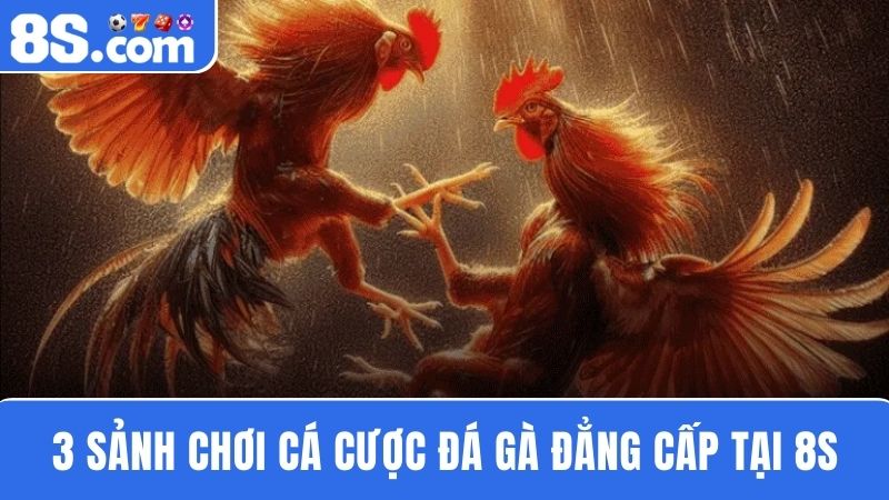 3 Sảnh chơi Đá gà 8S
