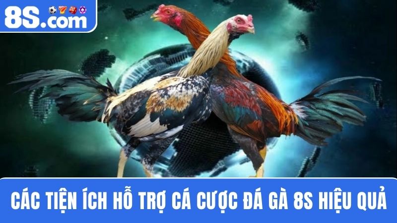 Đá gà 8S cung cấp nhiều tiện ích