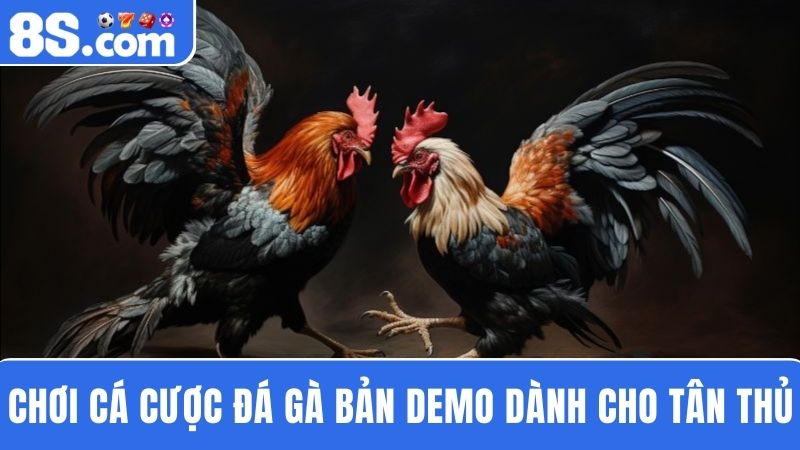 cá cược demo Đá gà 8S