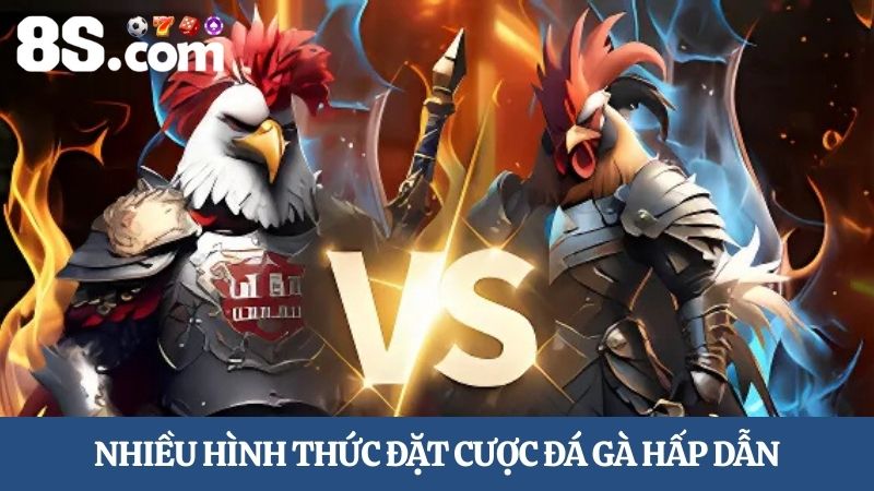 Nhiều hình thức đặt cược trực tiếp đá gà 8S