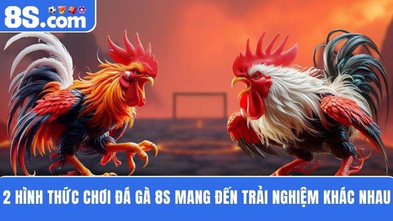 Hình thức cá cược Đá gà 8S
