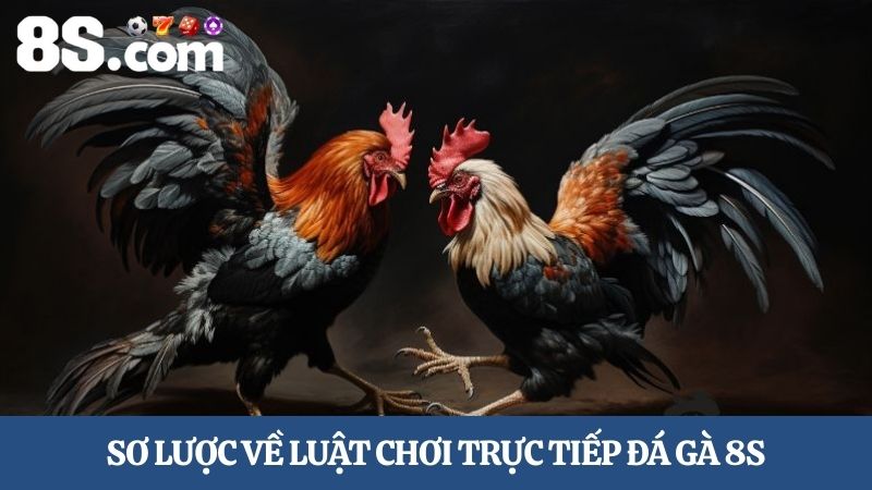 luật chơi trực tiếp đá gà 8S