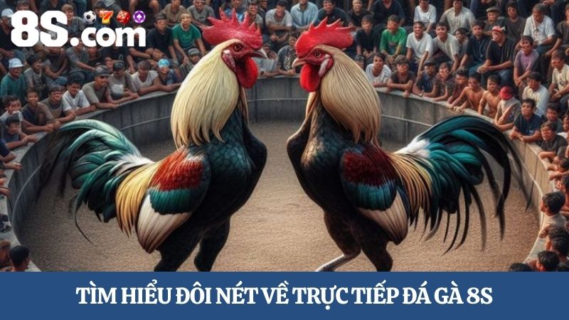 trực tiếp đá gà 8S