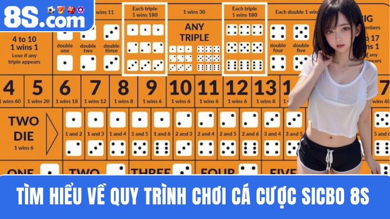 Quy trình chơi cá cược Sicbo 8S